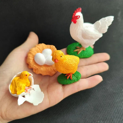 Children Simulation Biology Model Toy Animal Plant Life Growth Cycle Montessori Children Toys Set Teaching Aids Educational Toys