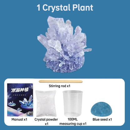 Magic Crystal Growing Kit Crystal Scientific Experiment Puzzle Educational Stress Relief Toy for Kids