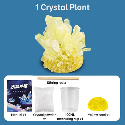 Magic Crystal Growing Kit Crystal Scientific Experiment Puzzle Educational Stress Relief Toy for Kids