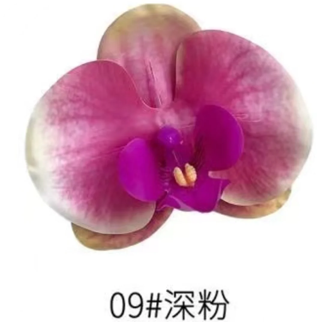 Phalaenopsis Plant flowers Handmade DIY, balcony decoration.Clivia gift