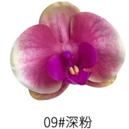 Phalaenopsis Plant flowers Handmade DIY, balcony decoration.Clivia gift