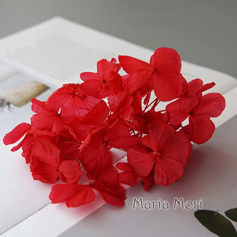 Big Petals Macrophylla Hydrangea Preserved Flower DIY Earrings and Scented Candles Material For Gutta Percha Resin Home Decor