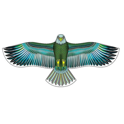 1.65M/1.45M/1.2M New Arrive Outdoor Fun Sports Eagle Kite Flying Bird Kites For Kids Or Adults Good Flying