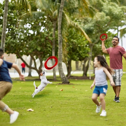 Beach Flying Toys  Plastic Disc Boomerangs Disc Golf Sport Beach Accessories Outdoor Beach Kids Adult Game Frisbee Gift