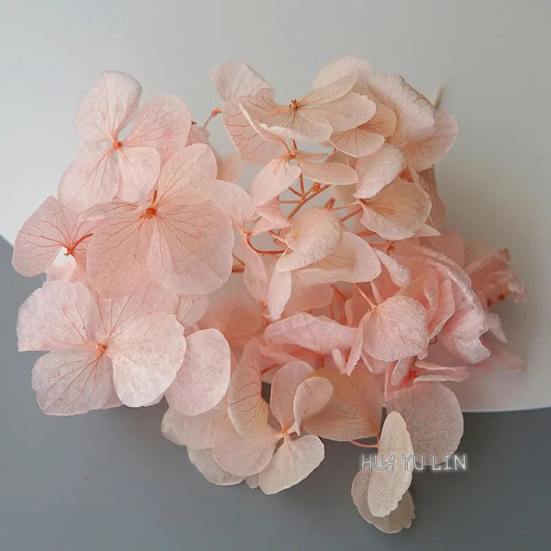 Big Petals Macrophylla Hydrangea Preserved Flower DIY Earrings and Scented Candles Material For Gutta Percha Resin Home Decor