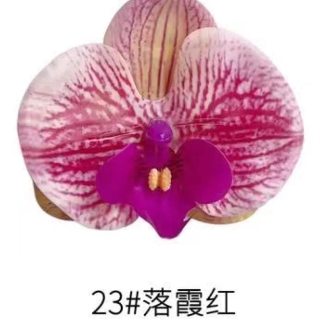 Phalaenopsis Plant flowers Handmade DIY, balcony decoration.Clivia gift