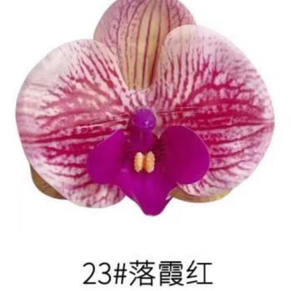 Phalaenopsis Plant flowers Handmade DIY, balcony decoration.Clivia gift