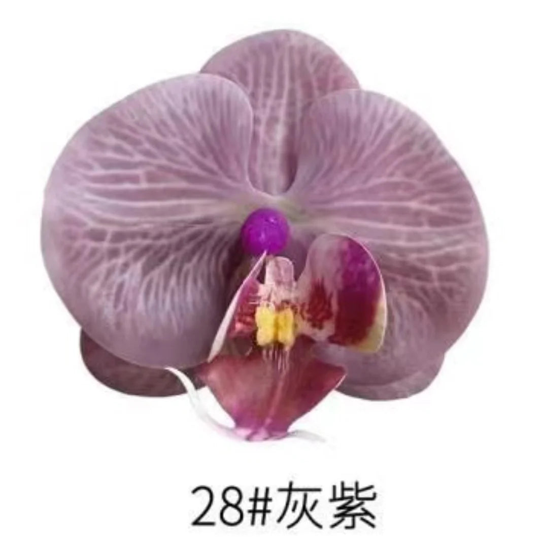 Phalaenopsis Plant flowers Handmade DIY, balcony decoration.Clivia gift