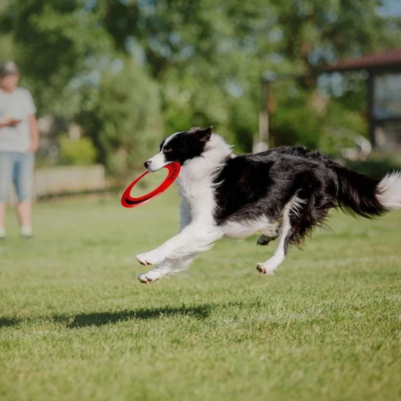 Beach Flying Toys  Plastic Disc Boomerangs Disc Golf Sport Beach Accessories Outdoor Beach Kids Adult Game Frisbee Gift