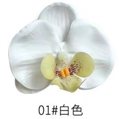 Phalaenopsis Plant flowers Handmade DIY, balcony decoration.Clivia gift