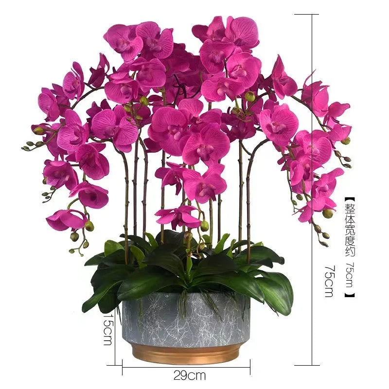 Phalaenopsis Plant flowers Handmade DIY, balcony decoration.Clivia gift