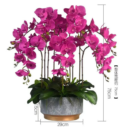 Phalaenopsis Plant flowers Handmade DIY, balcony decoration.Clivia gift
