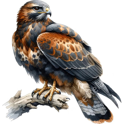 Three Ratels QN20 soaring eagle wall sticker art for home decoration