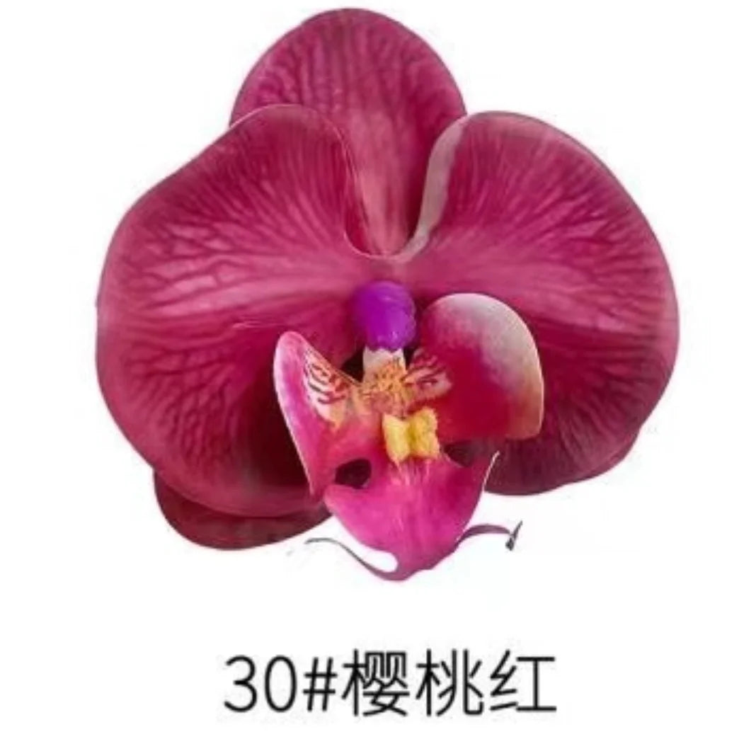 Phalaenopsis Plant flowers Handmade DIY, balcony decoration.Clivia gift