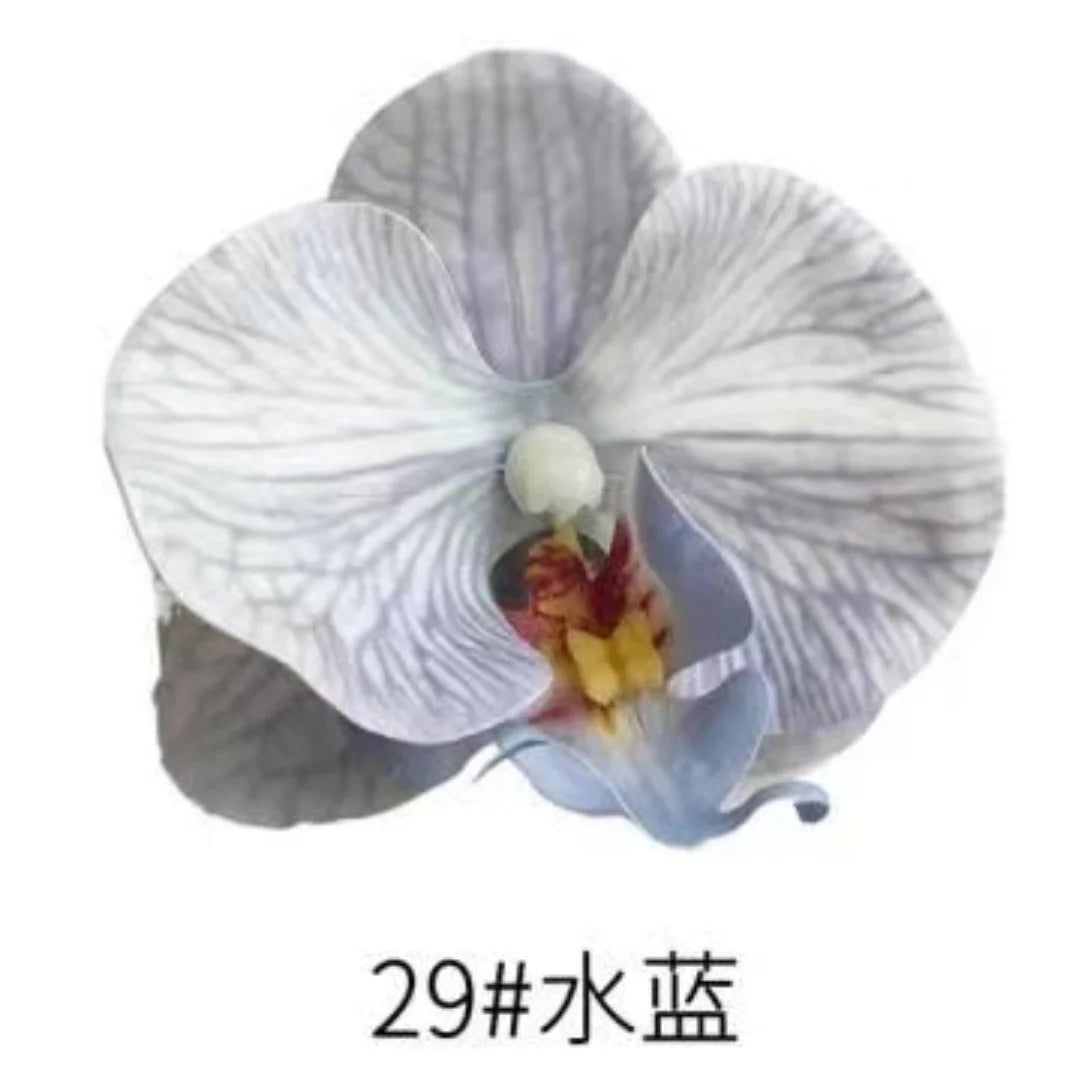 Phalaenopsis Plant flowers Handmade DIY, balcony decoration.Clivia gift