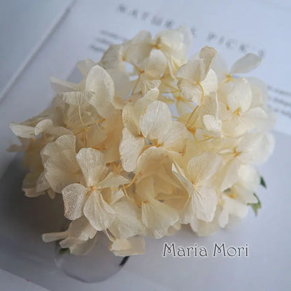 Big Petals Macrophylla Hydrangea Preserved Flower DIY Earrings and Scented Candles Material For Gutta Percha Resin Home Decor