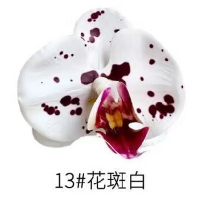 Phalaenopsis Plant flowers Handmade DIY, balcony decoration.Clivia gift