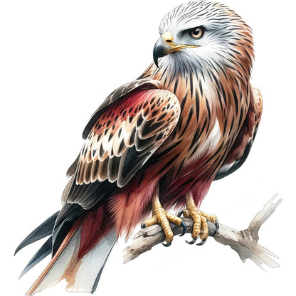 Three Ratels QN20 soaring eagle wall sticker art for home decoration