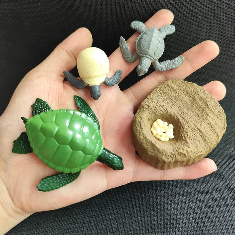 Children Simulation Biology Model Toy Animal Plant Life Growth Cycle Montessori Children Toys Set Teaching Aids Educational Toys