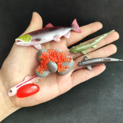 Children Simulation Biology Model Toy Animal Plant Life Growth Cycle Montessori Children Toys Set Teaching Aids Educational Toys