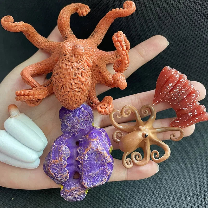 Children Simulation Biology Model Toy Animal Plant Life Growth Cycle Montessori Children Toys Set Teaching Aids Educational Toys