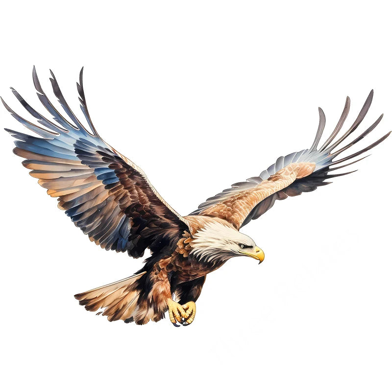 Three Ratels QN20 soaring eagle wall sticker art for home decoration