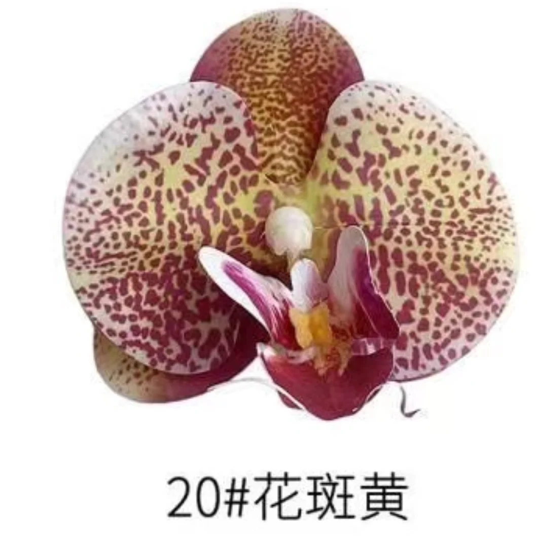 Phalaenopsis Plant flowers Handmade DIY, balcony decoration.Clivia gift