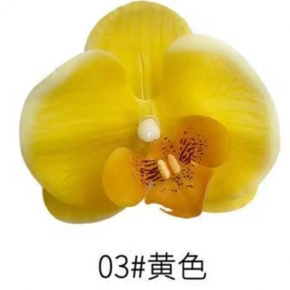 Phalaenopsis Plant flowers Handmade DIY, balcony decoration.Clivia gift