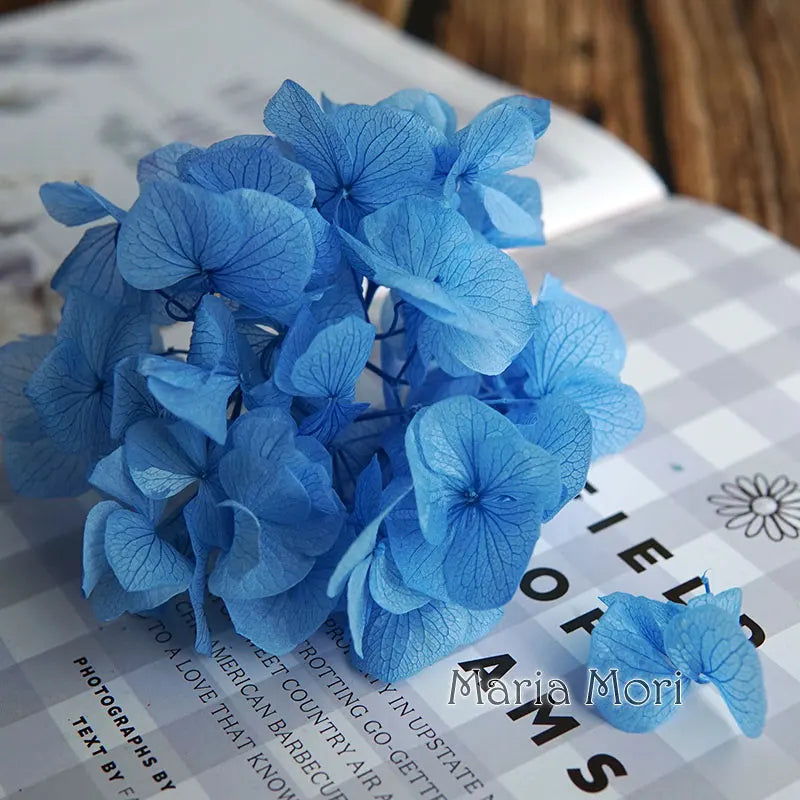 Big Petals Macrophylla Hydrangea Preserved Flower DIY Earrings and Scented Candles Material For Gutta Percha Resin Home Decor