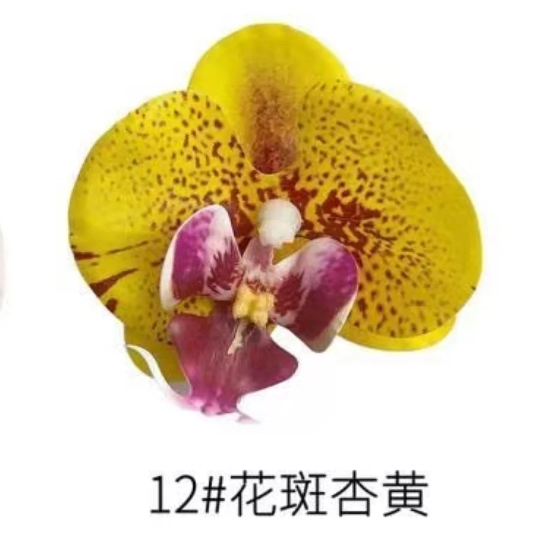 Phalaenopsis Plant flowers Handmade DIY, balcony decoration.Clivia gift