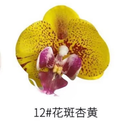 Phalaenopsis Plant flowers Handmade DIY, balcony decoration.Clivia gift