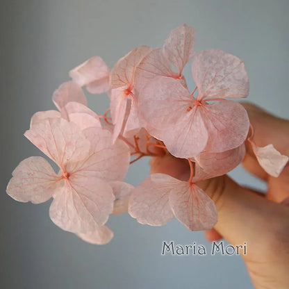 Big Petals Macrophylla Hydrangea Preserved Flower DIY Earrings and Scented Candles Material For Gutta Percha Resin Home Decor