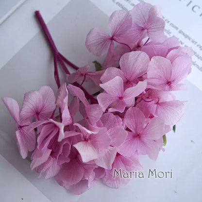 Big Petals Macrophylla Hydrangea Preserved Flower DIY Earrings and Scented Candles Material For Gutta Percha Resin Home Decor