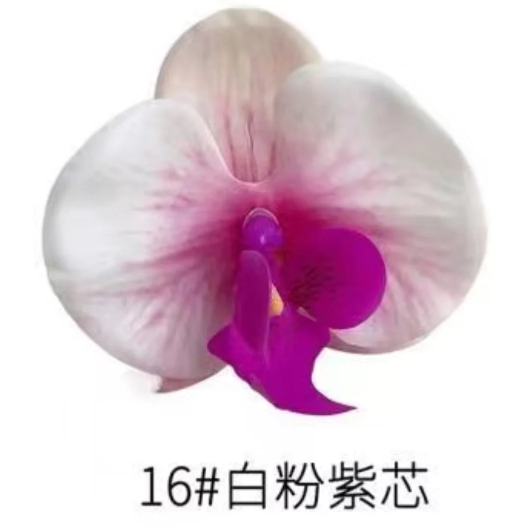 Phalaenopsis Plant flowers Handmade DIY, balcony decoration.Clivia gift