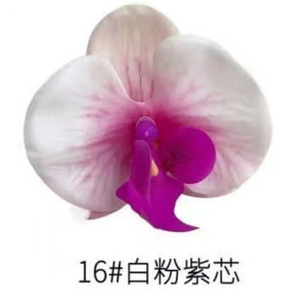 Phalaenopsis Plant flowers Handmade DIY, balcony decoration.Clivia gift