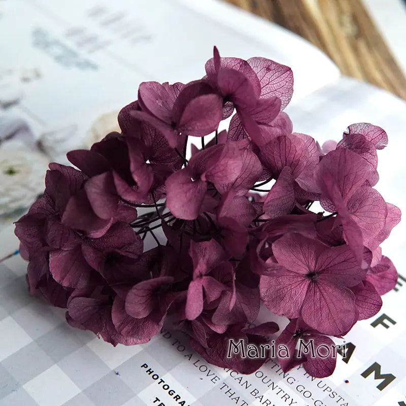 Big Petals Macrophylla Hydrangea Preserved Flower DIY Earrings and Scented Candles Material For Gutta Percha Resin Home Decor