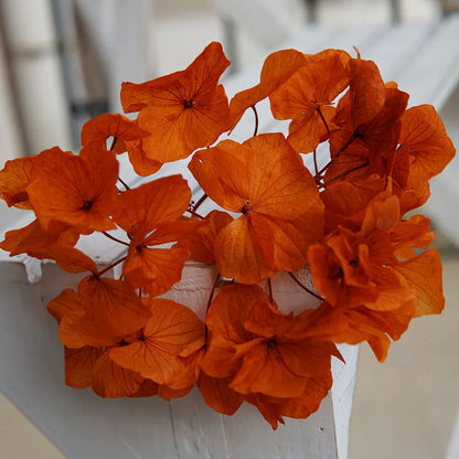 Big Petals Macrophylla Hydrangea Preserved Flower DIY Earrings and Scented Candles Material For Gutta Percha Resin Home Decor