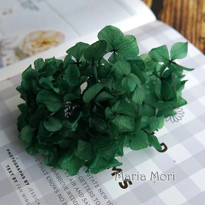 Big Petals Macrophylla Hydrangea Preserved Flower DIY Earrings and Scented Candles Material For Gutta Percha Resin Home Decor