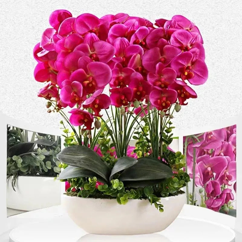 Phalaenopsis Plant flowers Handmade DIY, balcony decoration.Clivia gift