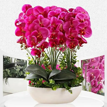 Phalaenopsis Plant flowers Handmade DIY, balcony decoration.Clivia gift