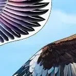 1.65M/1.45M/1.2M New Arrive Outdoor Fun Sports Eagle Kite Flying Bird Kites For Kids Or Adults Good Flying