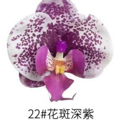 Phalaenopsis Plant flowers Handmade DIY, balcony decoration.Clivia gift