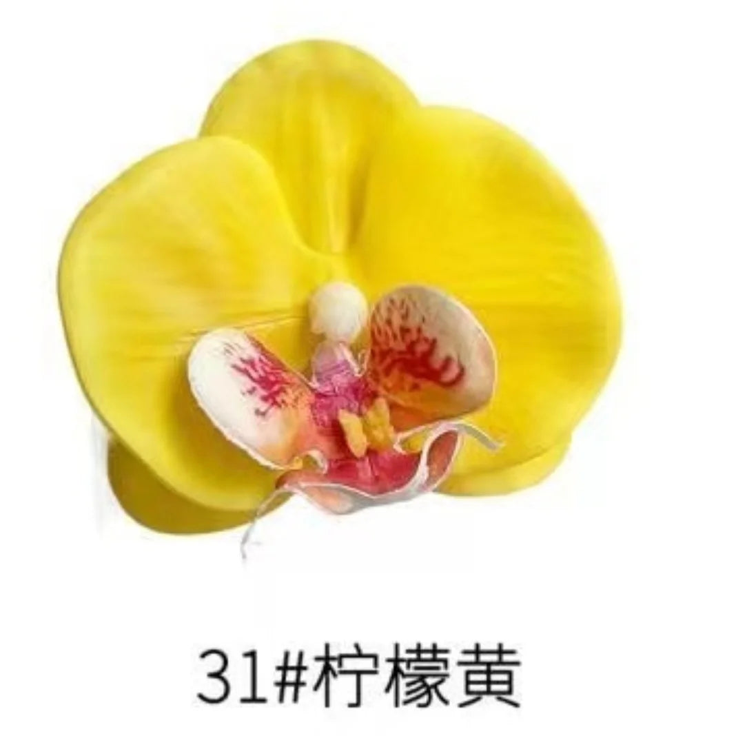 Phalaenopsis Plant flowers Handmade DIY, balcony decoration.Clivia gift