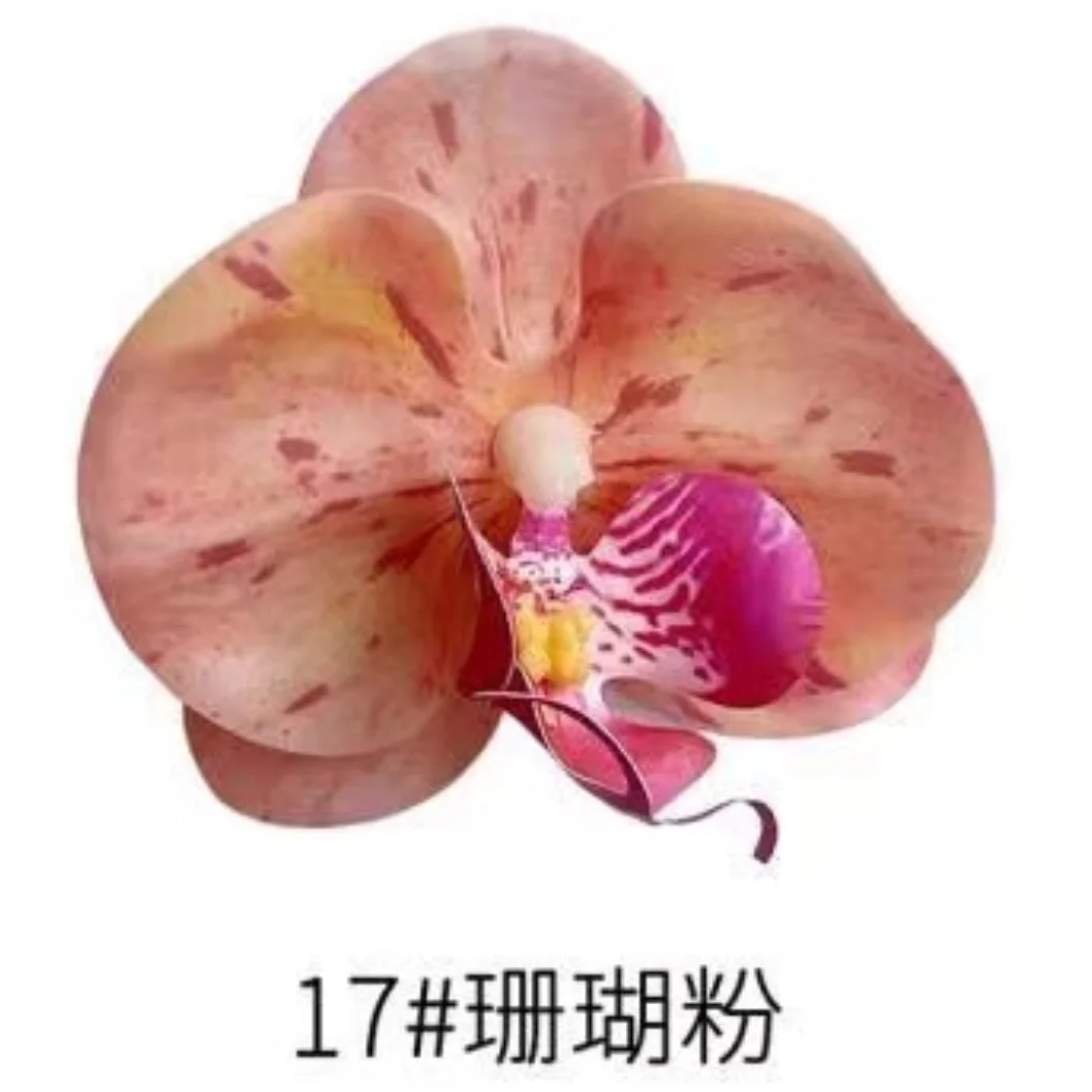 Phalaenopsis Plant flowers Handmade DIY, balcony decoration.Clivia gift