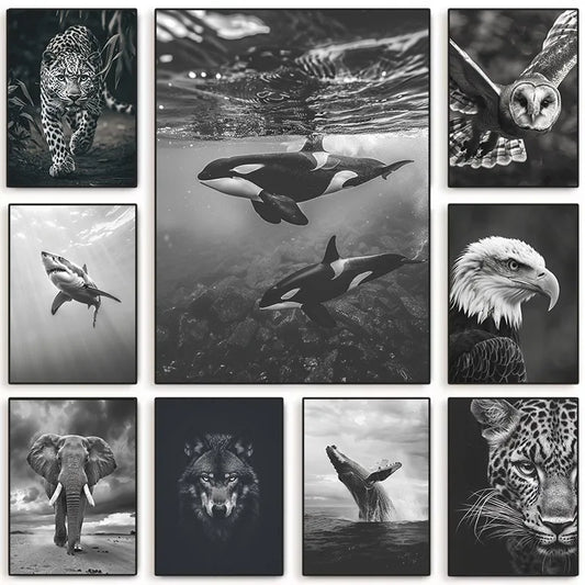 Vintage Wildlife Canvas Print Black & White Animal Poster Orca Owl Eagle Nature Wall Art Retro Jungle Decor for Living Room Gift