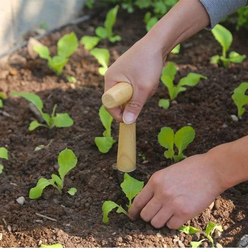 Hand Sow Dibbler With Wood Handle For Sowing Seeds Transplanting Plants Planting Bulbs Digging Gardening Garden Hole Punch Tool